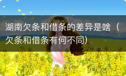 湖南欠条和借条的差异是啥（欠条和借条有何不同）