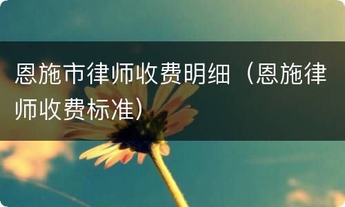 恩施市律师收费明细（恩施律师收费标准）