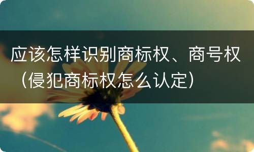 应该怎样识别商标权、商号权（侵犯商标权怎么认定）