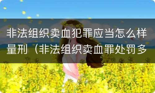 非法组织卖血犯罪应当怎么样量刑（非法组织卖血罪处罚多少钱）