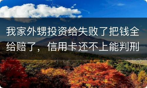 我家外甥投资给失败了把钱全给赔了，信用卡还不上能判刑吗