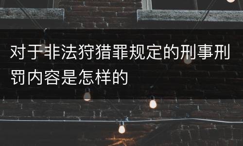 对于非法狩猎罪规定的刑事刑罚内容是怎样的