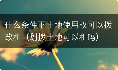 什么条件下土地使用权可以拨改租（划拨土地可以租吗）