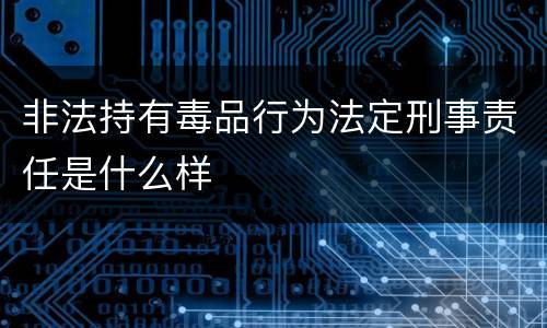 非法持有毒品行为法定刑事责任是什么样