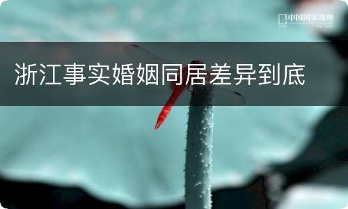 浙江事实婚姻同居差异到底