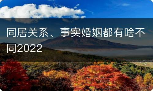 同居关系、事实婚姻都有啥不同2022
