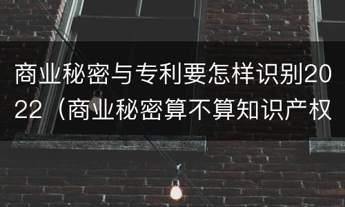 商业秘密与专利要怎样识别2022（商业秘密算不算知识产权）