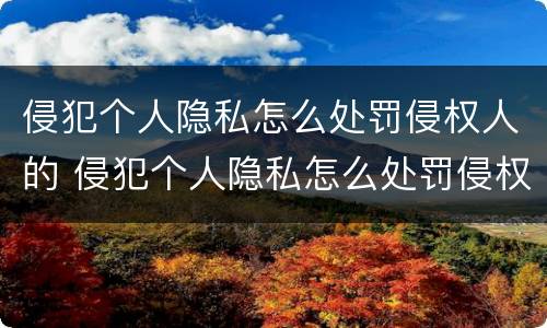 侵犯个人隐私怎么处罚侵权人的 侵犯个人隐私怎么处罚侵权人的信息