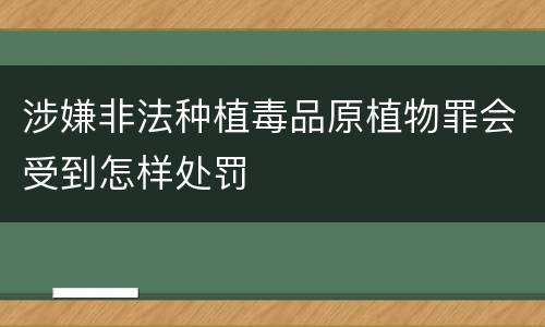 涉嫌非法种植毒品原植物罪会受到怎样处罚