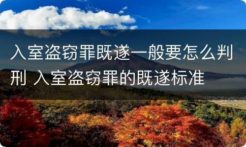 入室盗窃罪既遂一般要怎么判刑 入室盗窃罪的既遂标准