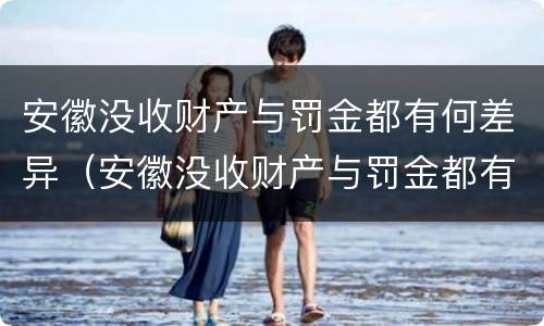 安徽没收财产与罚金都有何差异（安徽没收财产与罚金都有何差异呢）