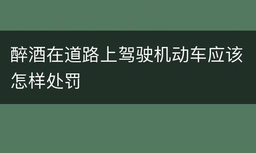 醉酒在道路上驾驶机动车应该怎样处罚