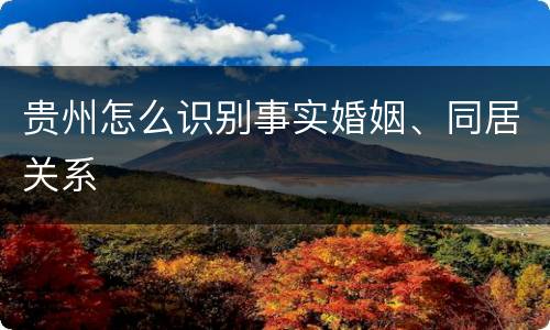 贵州怎么识别事实婚姻、同居关系