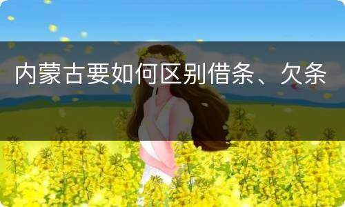内蒙古要如何区别借条、欠条