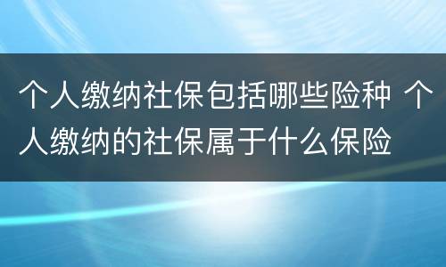 个人缴纳社保包括哪些险种 个人缴纳的社保属于什么保险