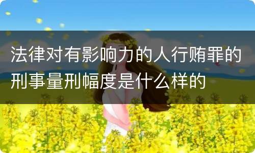 法律对有影响力的人行贿罪的刑事量刑幅度是什么样的