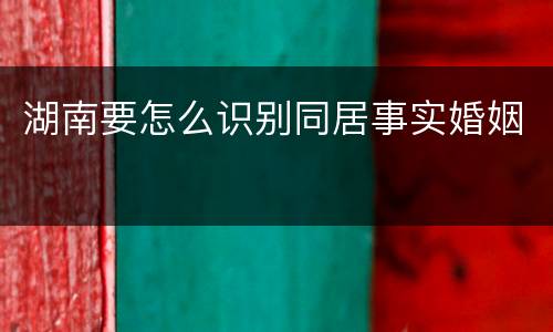 湖南要怎么识别同居事实婚姻