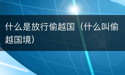 什么是放行偷越国（什么叫偷越国境）