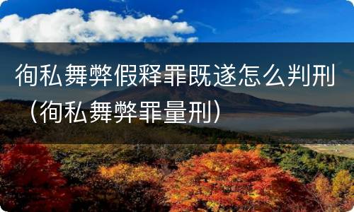 徇私舞弊假释罪既遂怎么判刑（徇私舞弊罪量刑）