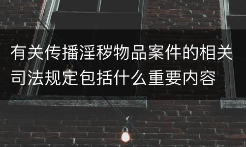 有关传播淫秽物品案件的相关司法规定包括什么重要内容