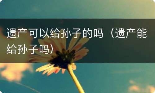 遗产可以给孙子的吗（遗产能给孙子吗）