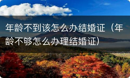 年龄不到该怎么办结婚证（年龄不够怎么办理结婚证）