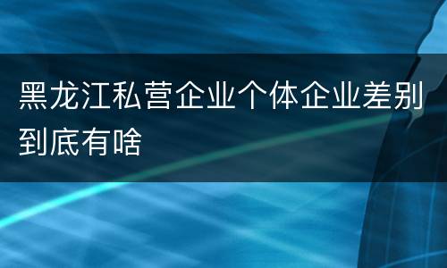 黑龙江私营企业个体企业差别到底有啥