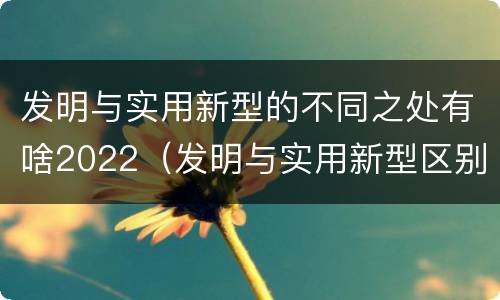 发明与实用新型的不同之处有啥2022（发明与实用新型区别）