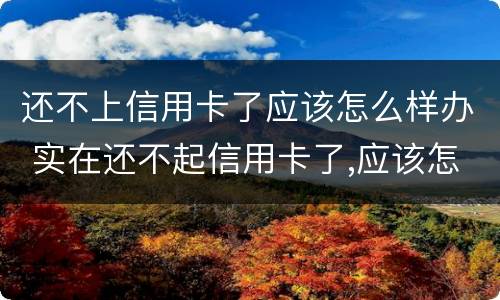 还不上信用卡了应该怎么样办 实在还不起信用卡了,应该怎么做