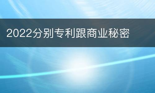 2022分别专利跟商业秘密