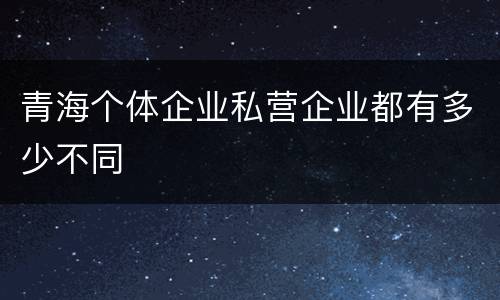 青海个体企业私营企业都有多少不同