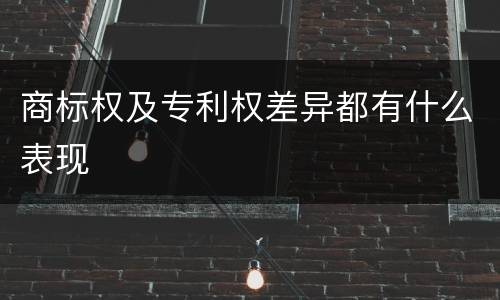 商标权及专利权差异都有什么表现