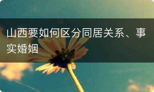 山西要如何区分同居关系、事实婚姻