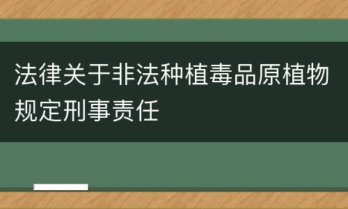 法律关于非法种植毒品原植物规定刑事责任