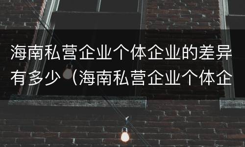 海南私营企业个体企业的差异有多少（海南私营企业个体企业的差异有多少个）