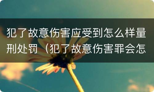 犯了故意伤害应受到怎么样量刑处罚（犯了故意伤害罪会怎么判）