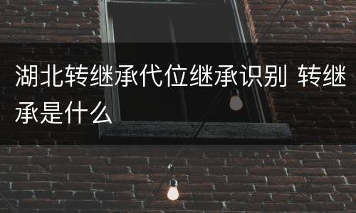 湖北转继承代位继承识别 转继承是什么