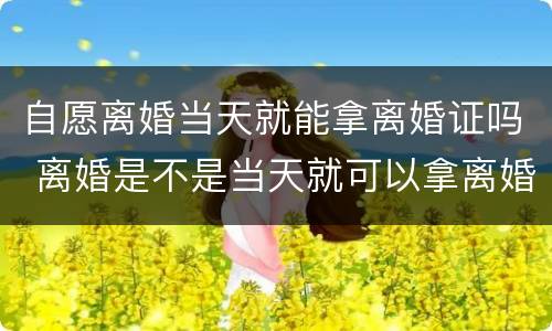 自愿离婚当天就能拿离婚证吗 离婚是不是当天就可以拿离婚证了?
