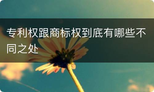 专利权跟商标权到底有哪些不同之处