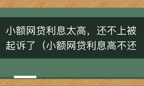 小额网贷利息太高，还不上被起诉了（小额网贷利息高不还会有什么后果）