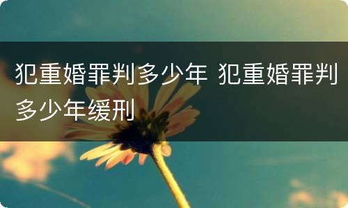 犯重婚罪判多少年 犯重婚罪判多少年缓刑
