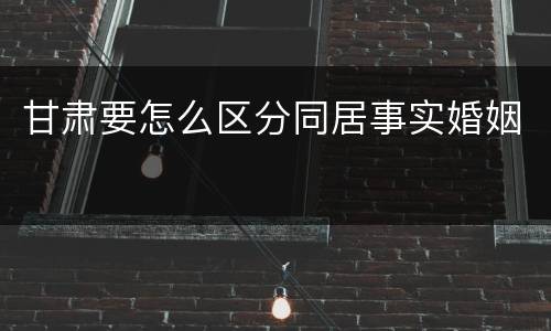 甘肃要怎么区分同居事实婚姻