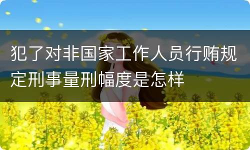 犯了对非国家工作人员行贿规定刑事量刑幅度是怎样