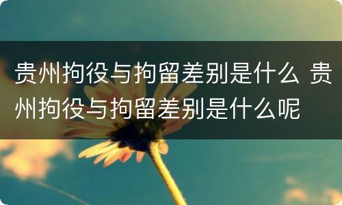 贵州拘役与拘留差别是什么 贵州拘役与拘留差别是什么呢