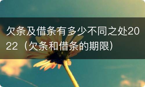 欠条及借条有多少不同之处2022（欠条和借条的期限）