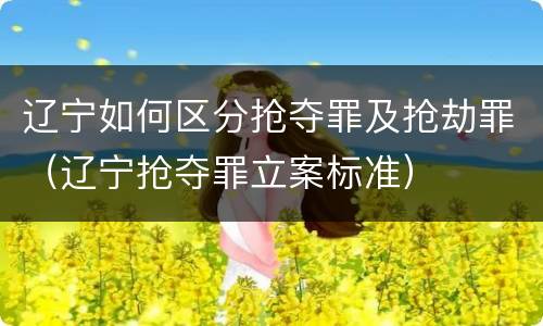 辽宁如何区分抢夺罪及抢劫罪（辽宁抢夺罪立案标准）