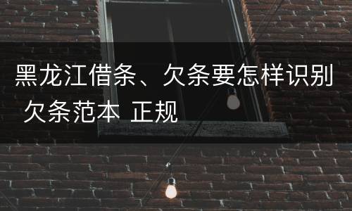 黑龙江借条、欠条要怎样识别 欠条范本 正规