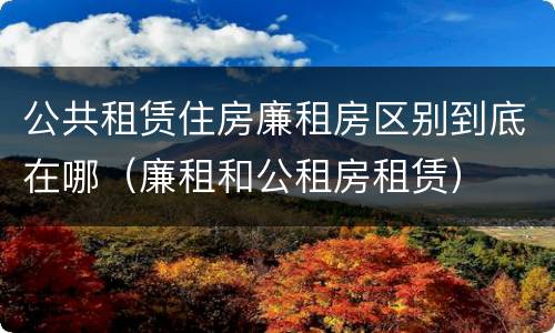 公共租赁住房廉租房区别到底在哪（廉租和公租房租赁）