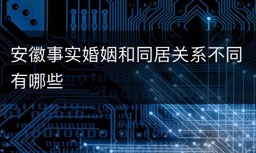 安徽事实婚姻和同居关系不同有哪些