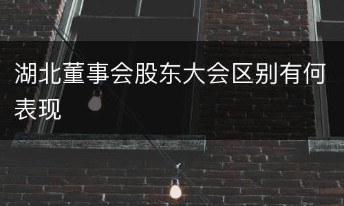湖北董事会股东大会区别有何表现